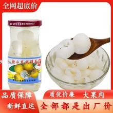 恒星糖水龙眼罐头整箱商用玻璃瓶装老牌子新鲜桂圆枇杷水果罐头