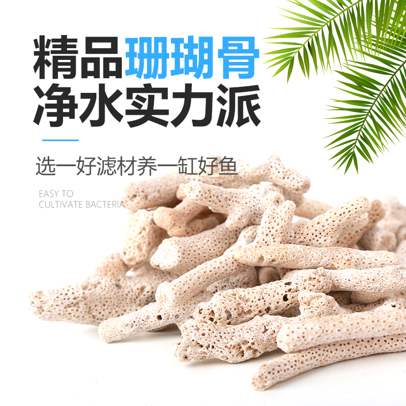 珊瑚骨鱼缸过滤材料细菌屋珊瑚石