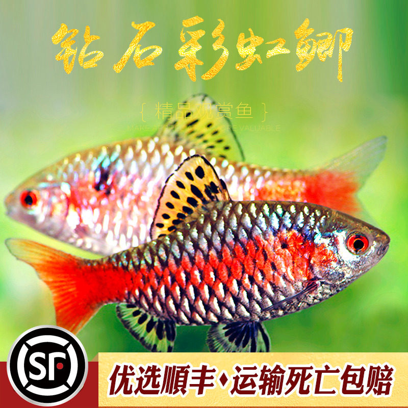 ��ʯ�ʺ�������ʺ���ԭ����ˮ��ˮ���������С�������������