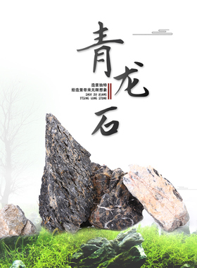 青龙石水族造景石水草微景观水陆鱼缸石景 ADA假山石头水草缸布景
