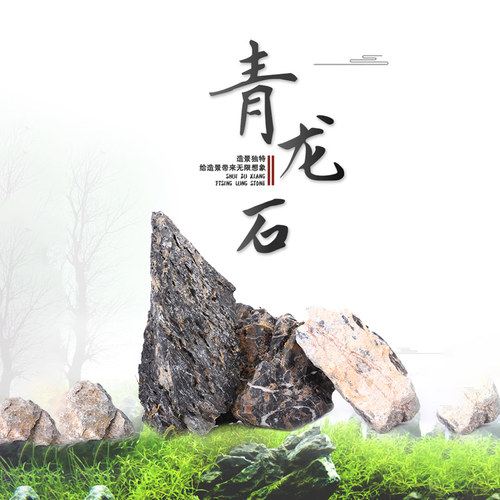 青龙石水族造景石水草微景观水陆鱼缸石景 ADA假山石头水草缸布景 - 封面