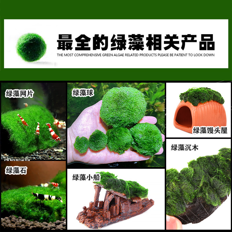 [水族乡]绿藻集合 纯天然青藻球绿球藻网片水草鱼缸造景虾缸虾粮