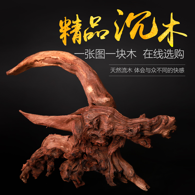 鱼缸懒人造景沉木优质泰国水草