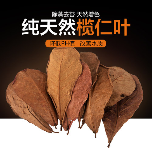 水族乡纯天然榄仁叶降酸鱼缸水质
