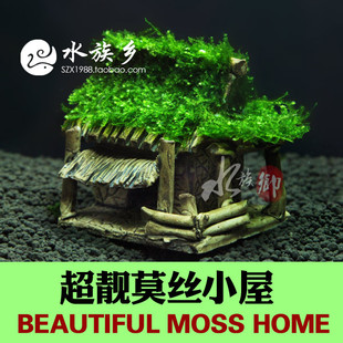 鱼缸陶瓷虾窝绑小三角moss小屋水草蕨类DIY莫丝定值懒人造景装 饰