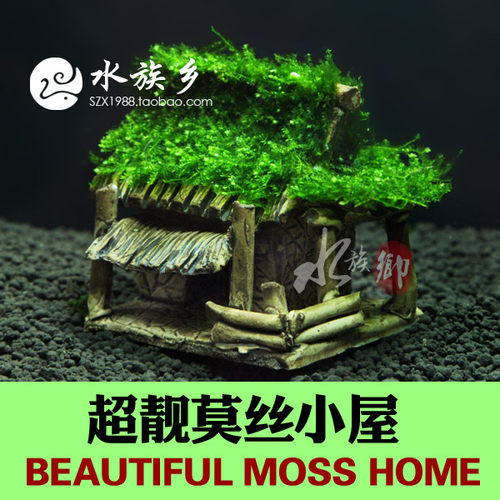 鱼缸陶瓷虾窝绑小三角moss小屋