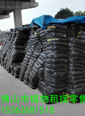 佛山植物租售/花肥营养土/营养液/花泥塘泥/罗村桂城张槎大沥乐从