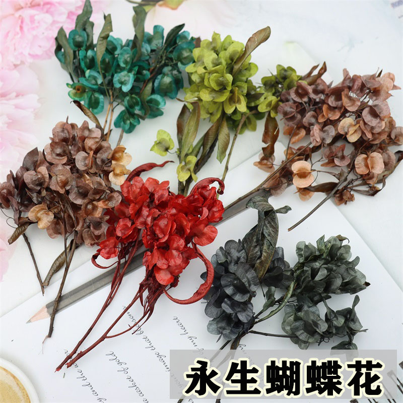 年宵花永生花蝴蝶花迎客豆手工diy花束生日婚礼物盒干花材料包