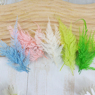 雪花蕨叶高山羊齿龙爪蕨铁线蕨小清新拍摄道具diy材料包插瓶花束