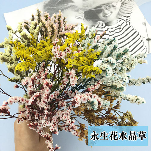 永生花水晶草情人草diy天然花束