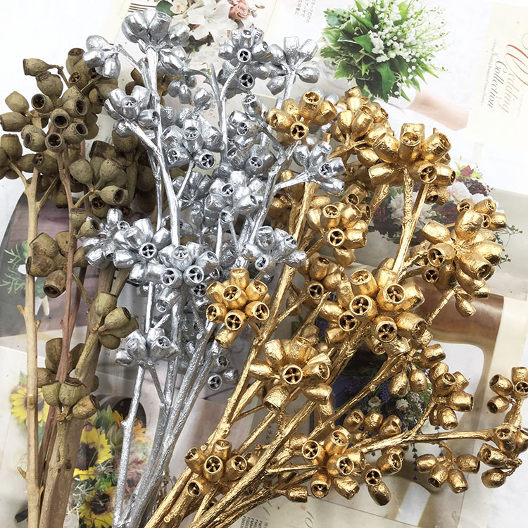 桉树永生花diy活动材料图片