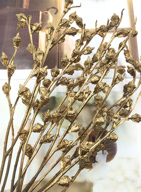 永生花diy材料尤加利果干花果实桉树果真花尖果子玻璃罩配材果实