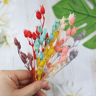 花掌柜永生花蝇子草干花ins风迷你花材DIY情人节七夕戒指礼物摆台