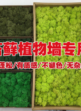Diy背景墙永生花驯鹿苔藓微景观