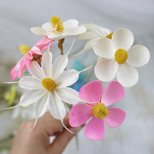 拼接紫罗兰文心兰昙花八角花DIY