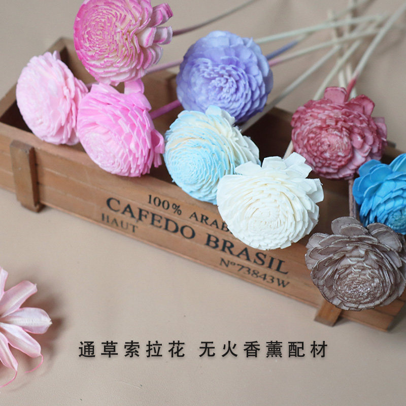 通草干花无火香薰无心菊仿真花图片