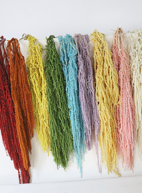 永生吊米花情人泪柔丽丝插花婚庆场DIY软装布置手捧花垂吊型线条