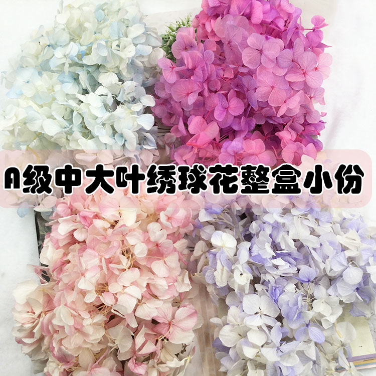 教师节礼盒永生花A级绣球diy团建