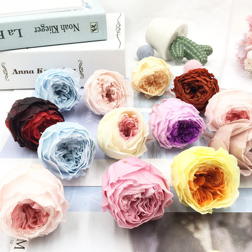 精品国产奥斯汀永生花diy花掌柜