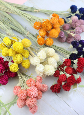 花掌柜干花草莓果宝石花diy七夕永生花束材料手工制作花瓶插花