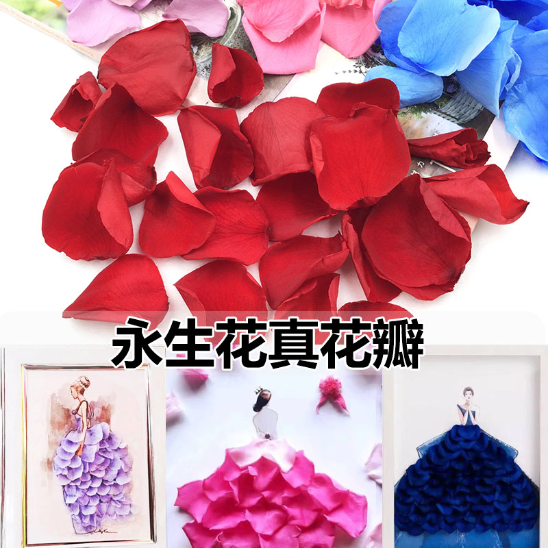 永生花diy真花玫瑰花瓣礼盒填充婚礼手撒花瓣拍摄道具滴胶贴画
