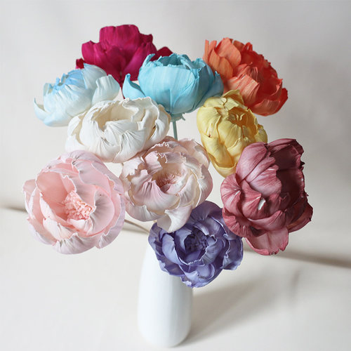 牡丹通草花睡莲diy香薰插花拍摄