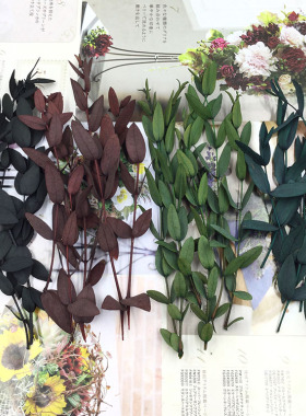 美叶桉尤加利永生花diy手腕花
