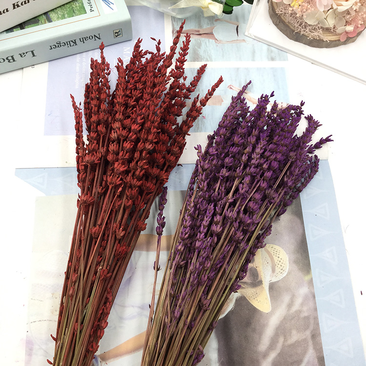 永生花薰衣草3枝装永生花DIY材料玻璃罩花盒配材迷你干花束材料