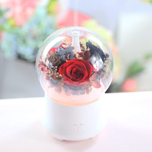 永生花加湿器空气净化卧室助眠迷你香薰机diy教师节七夕520礼物 - 封面