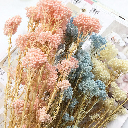 永生花干花小米花diy花束礼盒