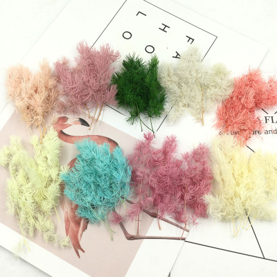 蓬莱松永生花DIY礼盒花材配材料