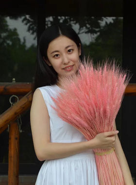 麦穗天然干花小麦大麦永生花材玻