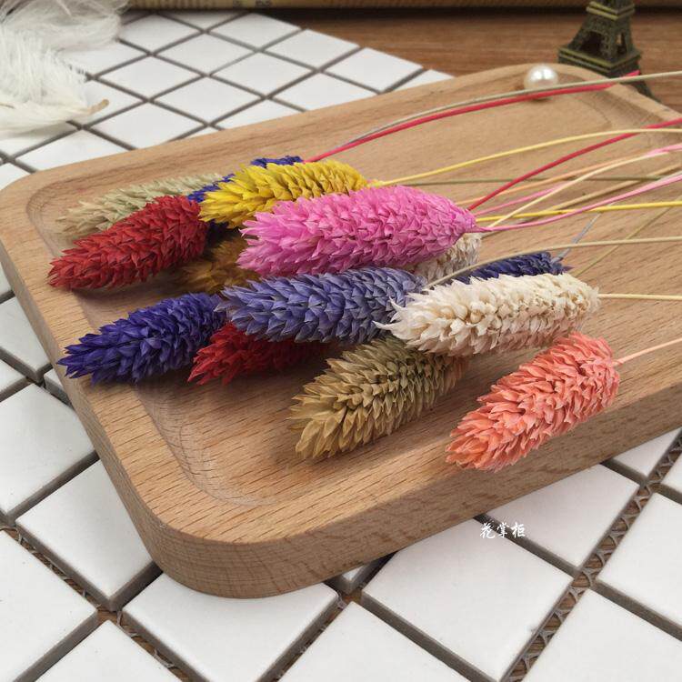 永生花宝石草兔尾草天然干花材料diy圣诞节材料包手工制礼物花盒