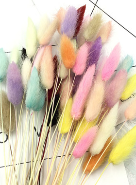 干花永生花DIY母亲节材料包兔尾草狗尾巴手工制作玻璃罩浮游瓶花