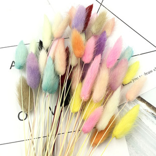 干花永生花DIY母亲节材料包兔尾草狗尾巴手工制作玻璃罩浮游瓶花