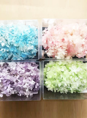 进口绣球花永生花日本大地材料包