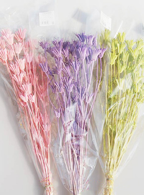 大地农园八角花玲花草花材永生花