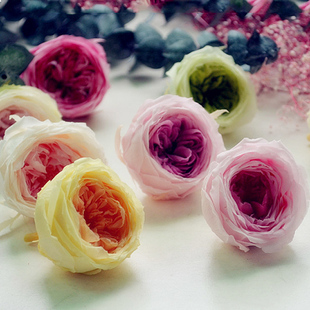 日本进口玫瑰花永生花奥斯汀3 5cm保鲜玫瑰花头大地农园花材料