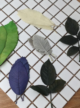 永生花玫瑰花叶子银叶菊橡栗叶礼盒永生花diy材料包配叶花材