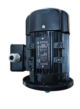 上海金陵电机YSJ7114H 0.25KW  220/380V 米顿罗胜瑞兰专用电机