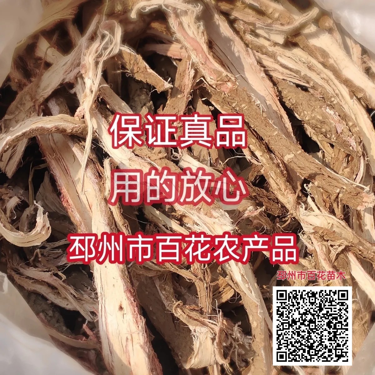 银杏树根皮银杏树根皮白果根皮
