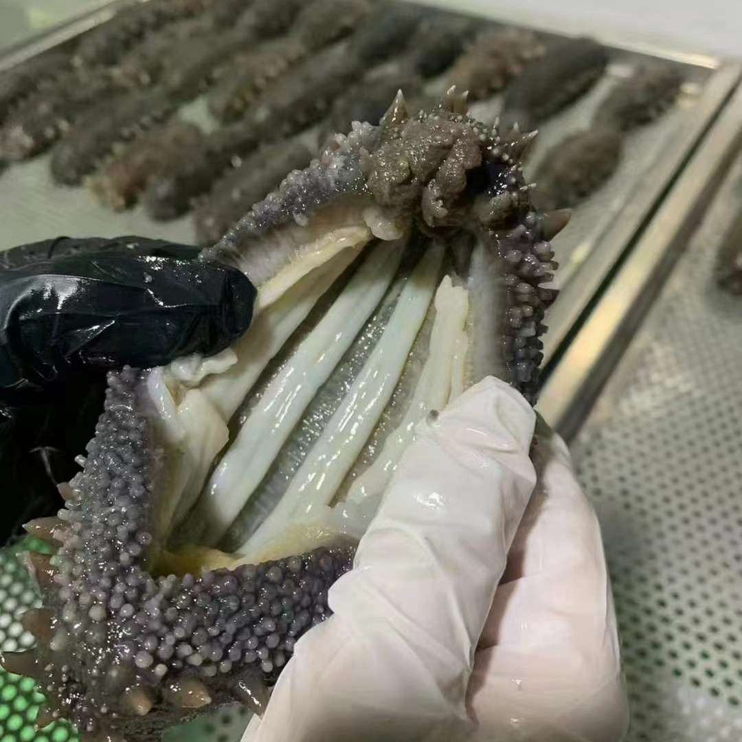 山东威海特产即食野生海参开袋即海参