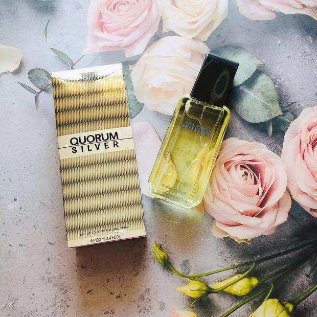 ANTONIO PUIG 安东尼奥普伊格 银色法定人数男士香水 EDT 100ml,彩妆/香水/美妆工具,香水,淘宝优惠券,粉丝福利购,淘宝优惠卷