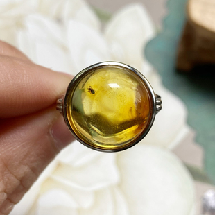 ML03005号天然无优化俄料金珀虫珀银开口戒指一图一物
