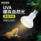 瑞皮reptizoo爬宠缸UVA加热灯泡鬃狮蜥蜴乌龟晒背日光灯保温取暖
