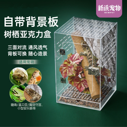 新派宠物树栖爬宠亚克力饲养盒