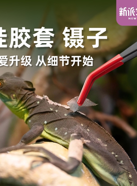 新派宠物爬宠爬虫喂食镊子守宫蟋蟀夹子蜥蜴清洁蜕皮夹硅胶套防伤