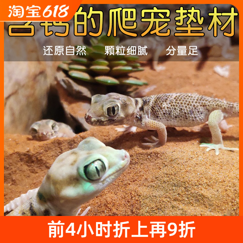 reptizoo爬宠沙垫材沙龟