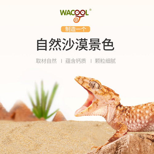 WACOOL玩爬宠钙沙守宫蜥蜴造景沙