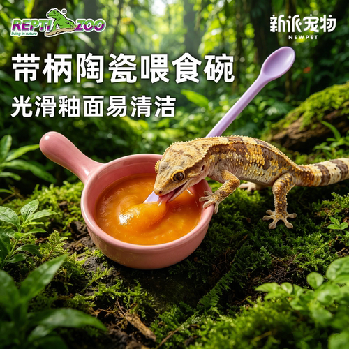 瑞皮爬宠果泥粉搅拌食盆守宫用品
